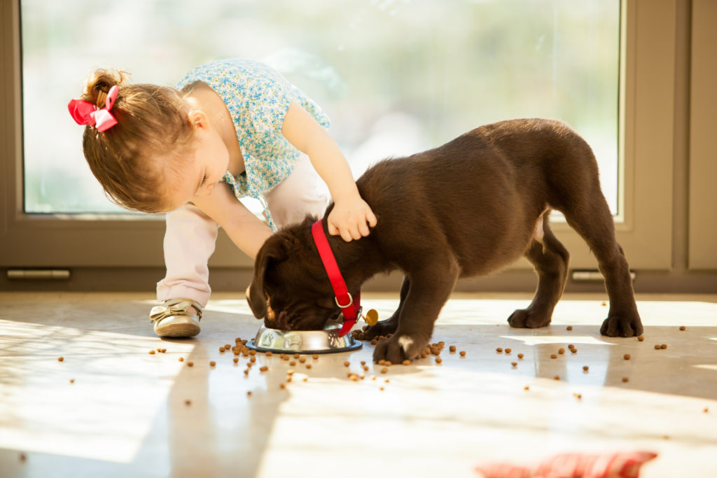 Pets e crianças: os benefícios da convivência desde cedo